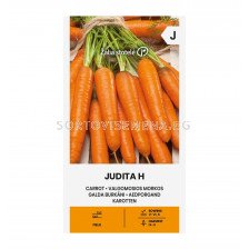 СЕМЕНА МОРКОВИ ДЖУДИТ Х CARROT JUDITA H - СК