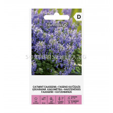 СЕМЕНА  НЕПЕТА КАТМИНТ ФАСЕНИ CATMINT FAASSENII  СК