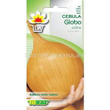 Семена Лук (Onion) Globo - 2г
