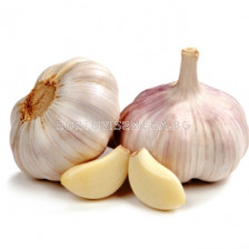 Чесън бял (Garlic White)