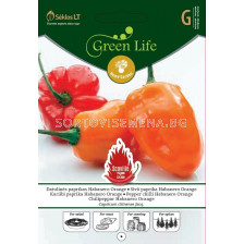 Семена чили пипер Хабанеро оранж /PEPPER CHILLI HABANERO ORANGE/ 'SK - 1 оп