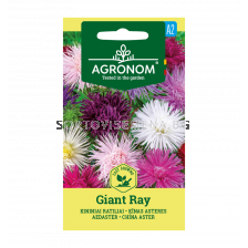 СК СЕМЕНА АСТРА ГИГАНТ CHINA ASTER, GIANT RAY