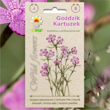 ТОРАФ ТОП КАРАМФИЛ WILDFLOWER Gozdzik kartuzek |Dianthus carthusianorum  