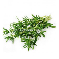 Семена Чубрица - 1кг