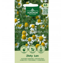 СЕМЕНА ЛАЙКА ЗЛОТИ ЛАН CHAMOMILE ZLOTY LAN - СК