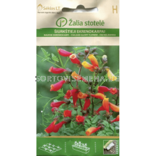 Чилийска слава / Eccremocarpus scaber / SK - 0,1 г