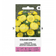 Астра жълта  ASTER CHINA, COLOUR CARPET YELLOW - 'SK - 0.5г