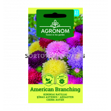 АСТРА CHINA ASTER, AMERICAN BRANCHING СК