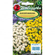Хризантема - микс - Chrysanthemum parthenium mixture (0.10g) - Legutko