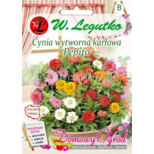 ЛГ ЦИНИЯ НИСКА ПЕПИТО Cynia wytworna karl. Pepito