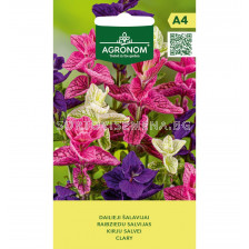 СЕМЕНА САЛВИЯ CLARY - СК 
