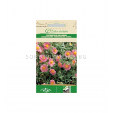 Обикновен жълтак - розов - COMMON ROCK-ROSE - 'SK - 0.3г