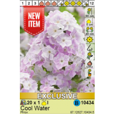 Флокс Cool Water - 1 брой