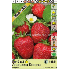 Ягоди Korona  - 3 коренища