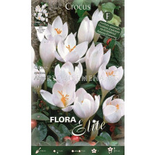 Минзухари  Аlbus