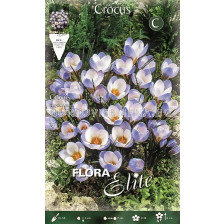 Минзухари Blue Pearl 