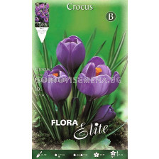 Минзухари (Crocus) Flower Record 