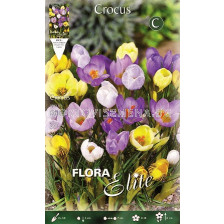 Минзухари Species Mix