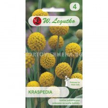 Краспедия - жълта - Craspedia globosa yellow (0.10g) - Legutko