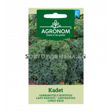 СК СЕМЕНА КЕЙЛ КАДЕТ CURLY KALE KADET 