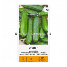 СК Краставици Офелия Х CUCUMBER OFELIE H