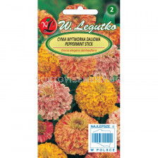 Циния елеганс микс Peppermint Stick, Candy Stripe - Zinnia elegans (1.00g) - Legutko