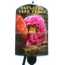 Дървовиден божур (Peony tree) Shimadijin  Paars - Виолетов