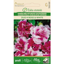 Семена Петуния розово-бяла / PETUNIA MULTIFLORA DUO H ROSE & WHITE / 'SK -1 оп