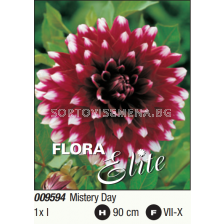 Далия декоративна Mystery Day/ Dahlia decorative - 1 бр.