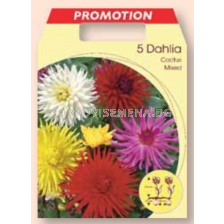 Далия кактус микс / Dahlia cactus mixed / 1 оп ( 5 бр )	