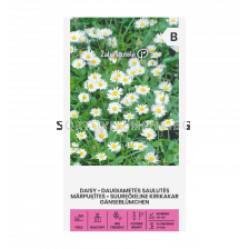 СК ПАРИЧКИ БЕЛИ - DAISY ENGLISH, WHITE