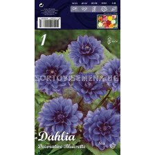 Далия (Dahlia) Decorative Bluesette (ниска)