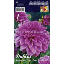 Далия (Dahlia) Decorative Lilac Time