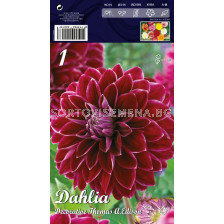 Далия (Dahlia) Decorative Thomas A.Edison