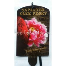 Дървовиден божур (Peony tree) Yaezakura Lichtrose -Светло розов