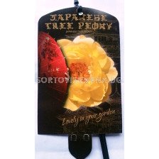 Дървовиден божур (Peony tree) Highnoon Geel - жълт