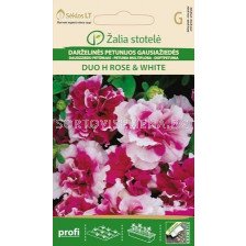 Семена Петуния розово-бяла / PETUNIA MULTIFLORA DUO H ROSE & WHITE / 'SK -1 оп