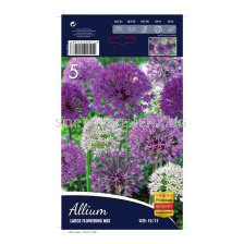 Декоративен Лук (Allium) Large Flowering Mix