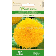 Семена Декоративен слънчоглед / SUNFLOWER  TEDDY BEAR / 'SK -1 оп