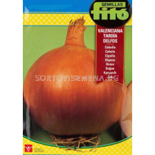 Семена лук Делфос/ Onion Delfos