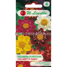СЕМЕНА ДАЛИЯ ДЕНДИ МИКС Dahlia variabilis collarette dwarfCollarette Dandy mixture -  ЛГ 