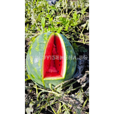 Семена дини Ред Хевън F1 - 250 семена