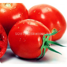 Семена Домати Гео 12