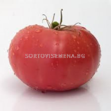 Семена домати Розавита F1