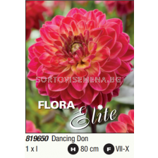 Далия декоративна Armateras/ Dahlia decorative - 1 бр.