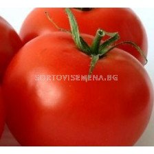 Сорт домати  AX 35-172 F1. Аграра ООД. Сортови семена Дар