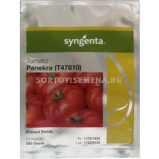 Семена домати Панекра F1 - tomato Panekra F1