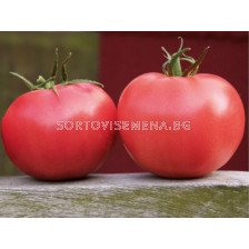 Семена домати Пинк Торнадо F1