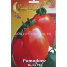 Семена домати Рома BL - tomato Roma BL