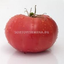 Семена домати Розавита F1
